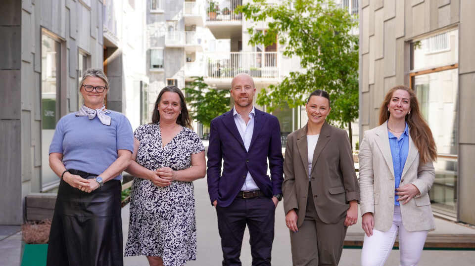 Kjerneteamet i Deloitte Advokatfirma består av Gro Forsdal Helvik (fra venstre), Cecilie Wikborg Bue, Peter Ringkjøb Groth, Maria de Michelis Sperre og Christine Frølich-Braathen. De jobber alle med likelønnsdirektivet. Gro Forsdal Helvik (fra venstre), Cecilie Wikborg Bue, Peter Ringkjøb Groth, Maria de Michelis Sperre og Christine Frølich-Braathen.