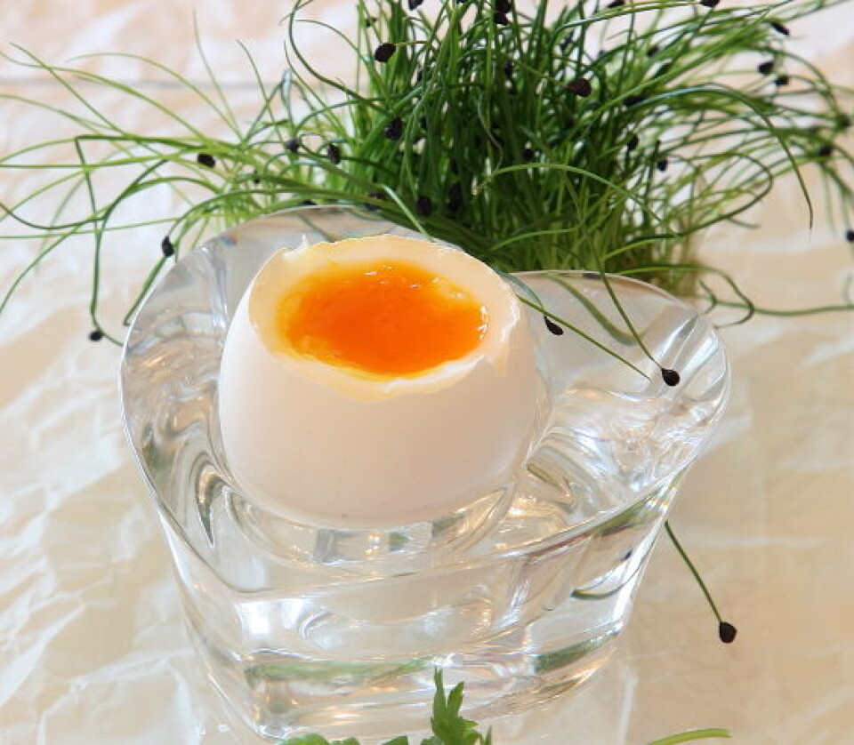 FrokosteggPåske