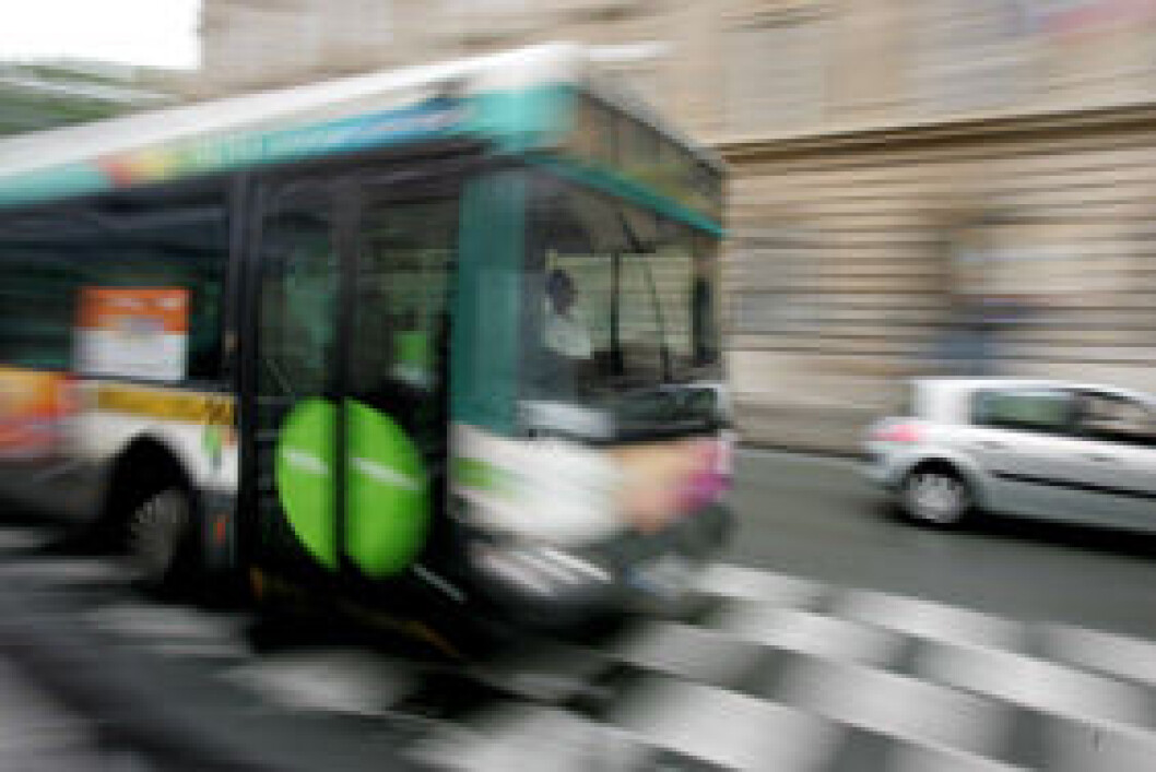 Buss Buss