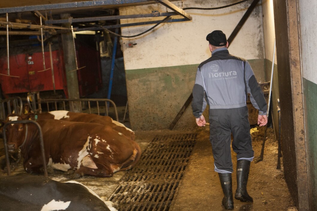 JOBBER MYE: Norske bønder har lange arbeidsdager og kort ferie, viser en ny undersøkelse. (Foto: Creobox) JOBBER MYE: Norske bønder har lange arbeidsdager og kort ferie, viser en ny undersøkelse. (Foto: Creobox)