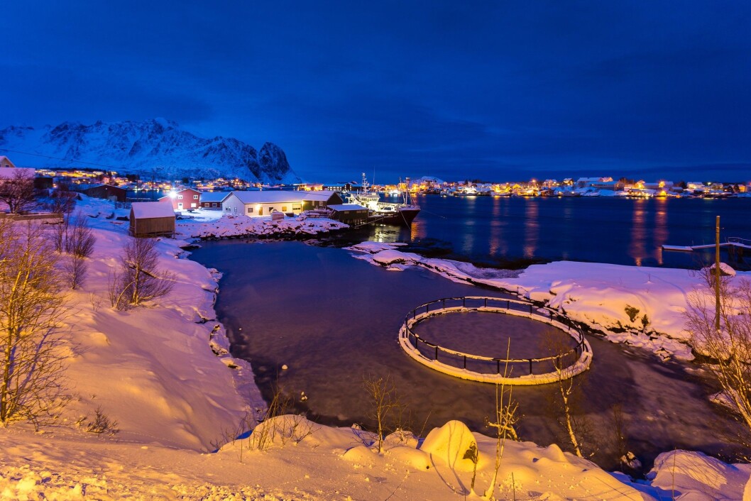 Foto: Innovasjon Norge/Istock Foto: Innovasjon Norge/Istock