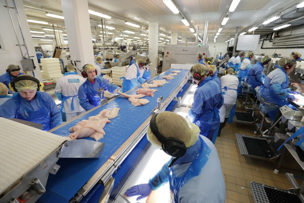 Stadig flere norske arbneidstakere forlater norsk fiskeindustri. Illustrasjonsfoto: Ole Åsheim Stadig flere norske arbneidstakere forlater norsk fiskeindustri. Illustrasjonsfoto: Ole Åsheim