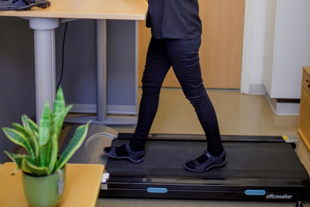 Et gåbånd er en tredemølle i mindre format enn de vi er vant til å finne på treningssentrene. (Foto: Umeå universitet). Et gåbånd er en tredemølle i mindre format enn de vi er vant til å finne på treningssentrene. (Foto: Umeå universitet).