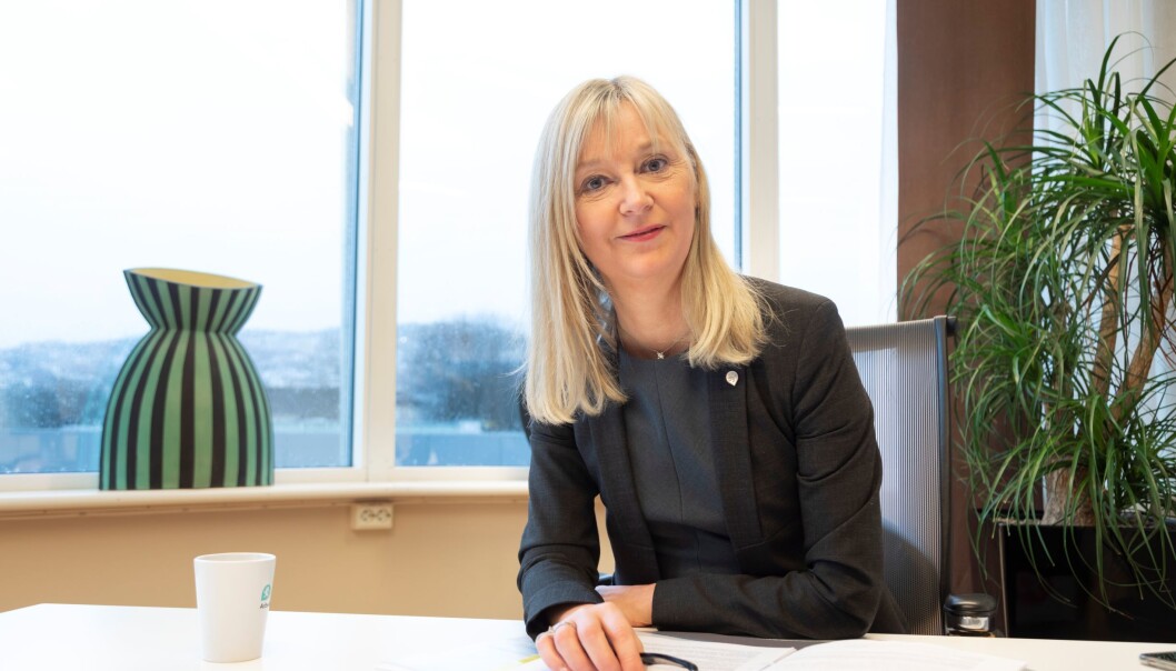 Trude Vollheim, direktør i Arbeidstilsynet. Trude Vollheim, direktør i Arbeidstilsynet.