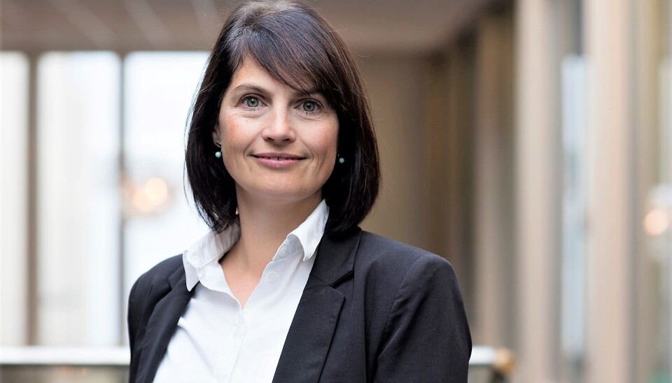 Lene Eltvik Vindfeld, ny leder for organisasjon, lederskap og kultur i Sbanken.
