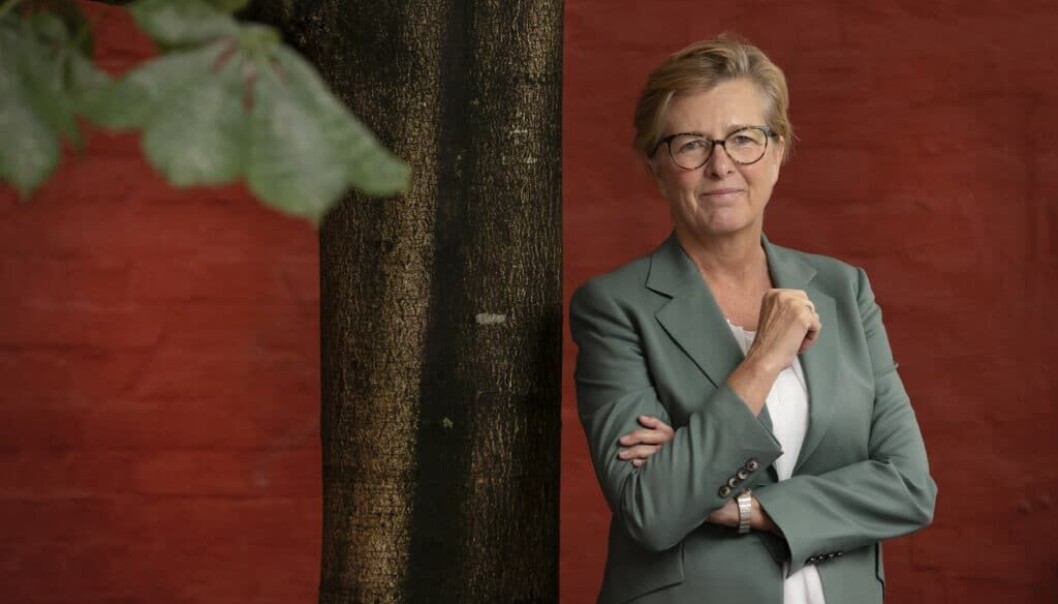 Direktør Kari Østerud ved Senter for seniorpolitikk. Direktør Kari Østerud ved Senter for seniorpolitikk.