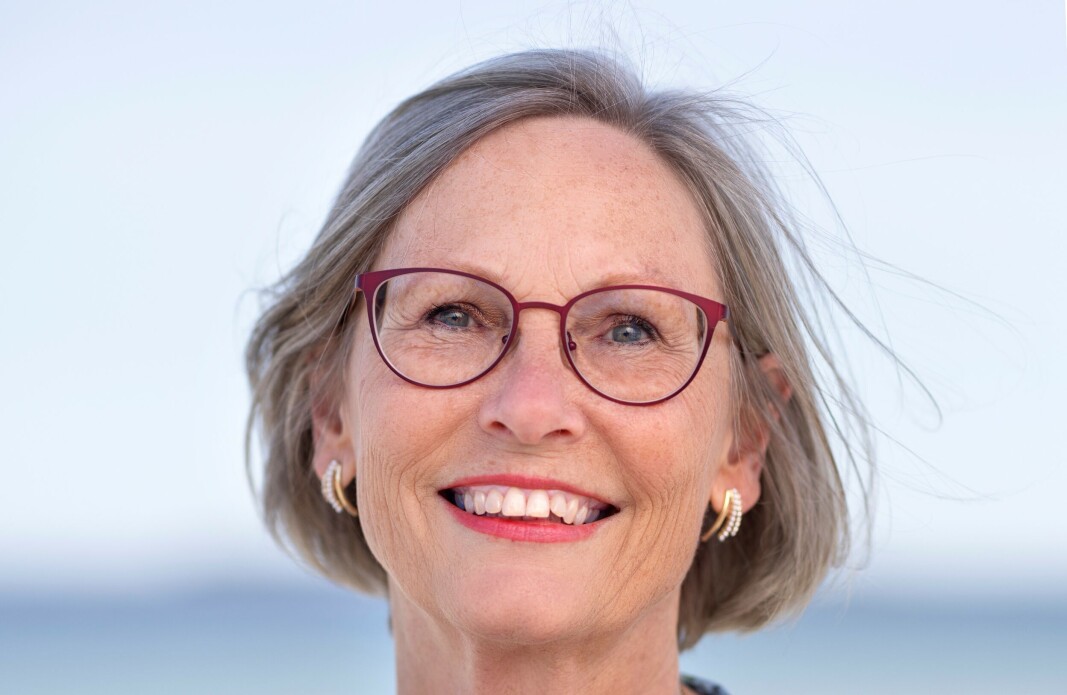 Elaine Munthe, professor og senterleder ved Kunnskapssenter for utdanning (KSU). Elaine Munthe, professor og senterleder ved Kunnskapssenter for utdanning (KSU).