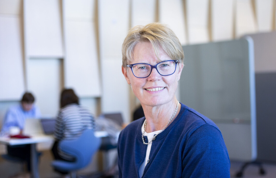 Den nye HR-direktøren i Skatteetaten heter Ragndi Robøle. Hun har lenge hatt et godt øye til sin nye arbeidsgiver. Den nye HR-direktøren i Skatteetaten heter Ragndi Robøle. Hun har lenge hatt et godt øye til sin nye arbeidsgiver.