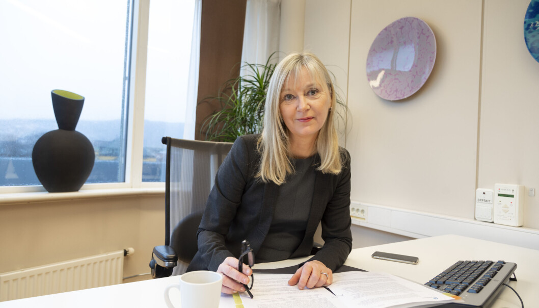 Trude Vollheim, direktør i Arbeidstilsynet. Trude Vollheim, direktør i Arbeidstilsynet.